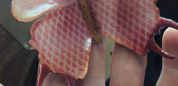 Image of enamelled butterfly